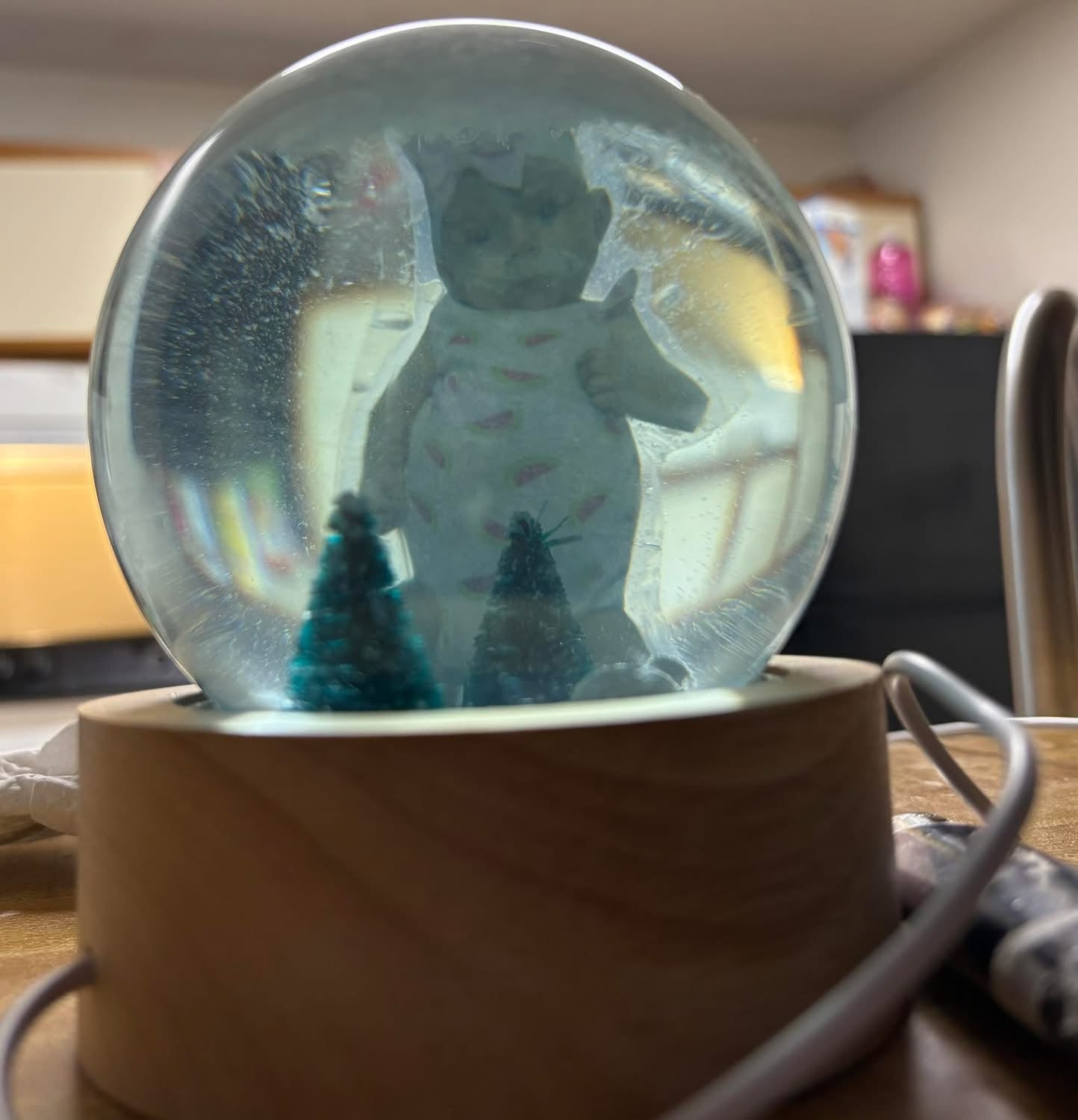 Custom snow globes