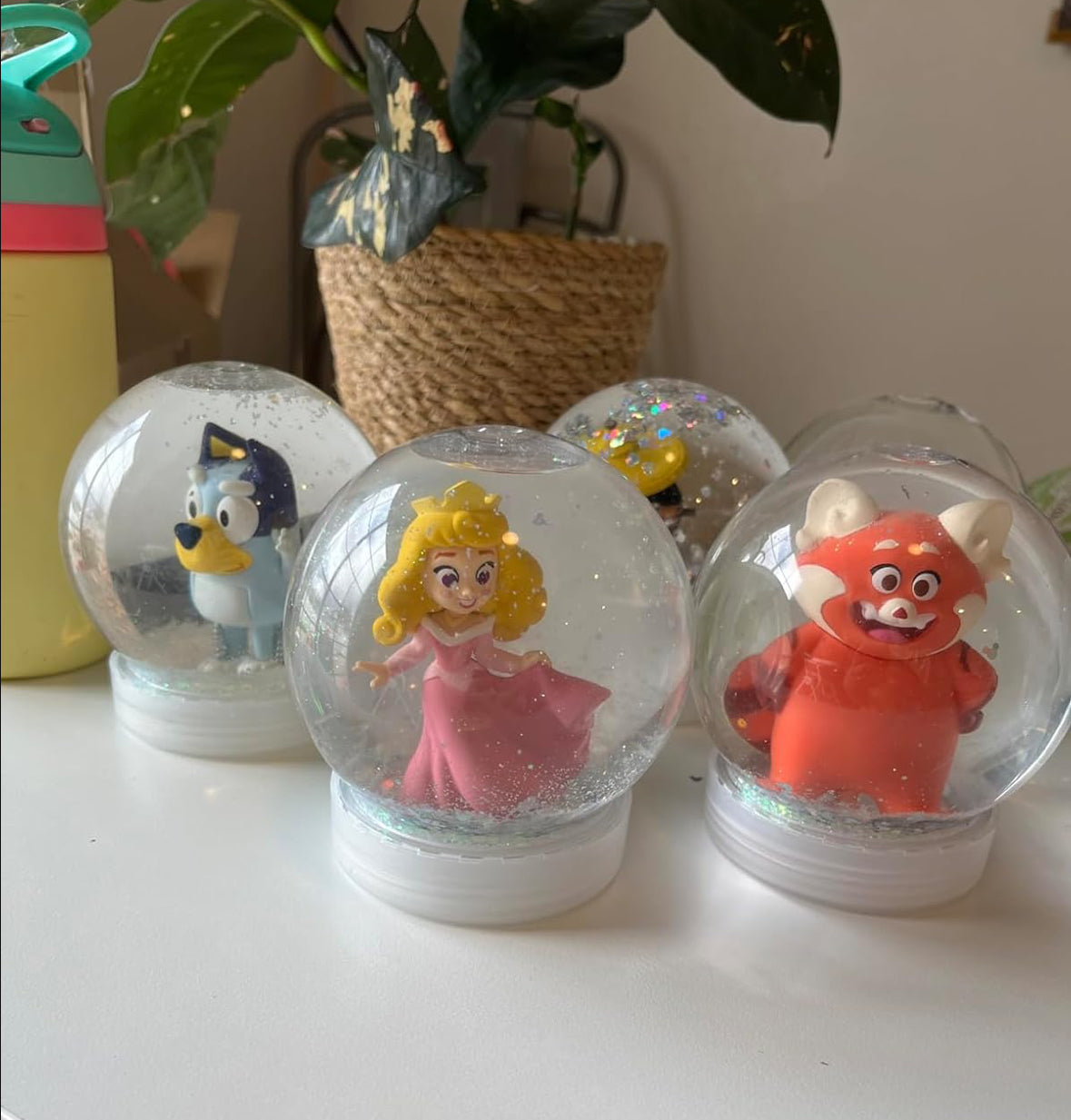 Custom snow globes