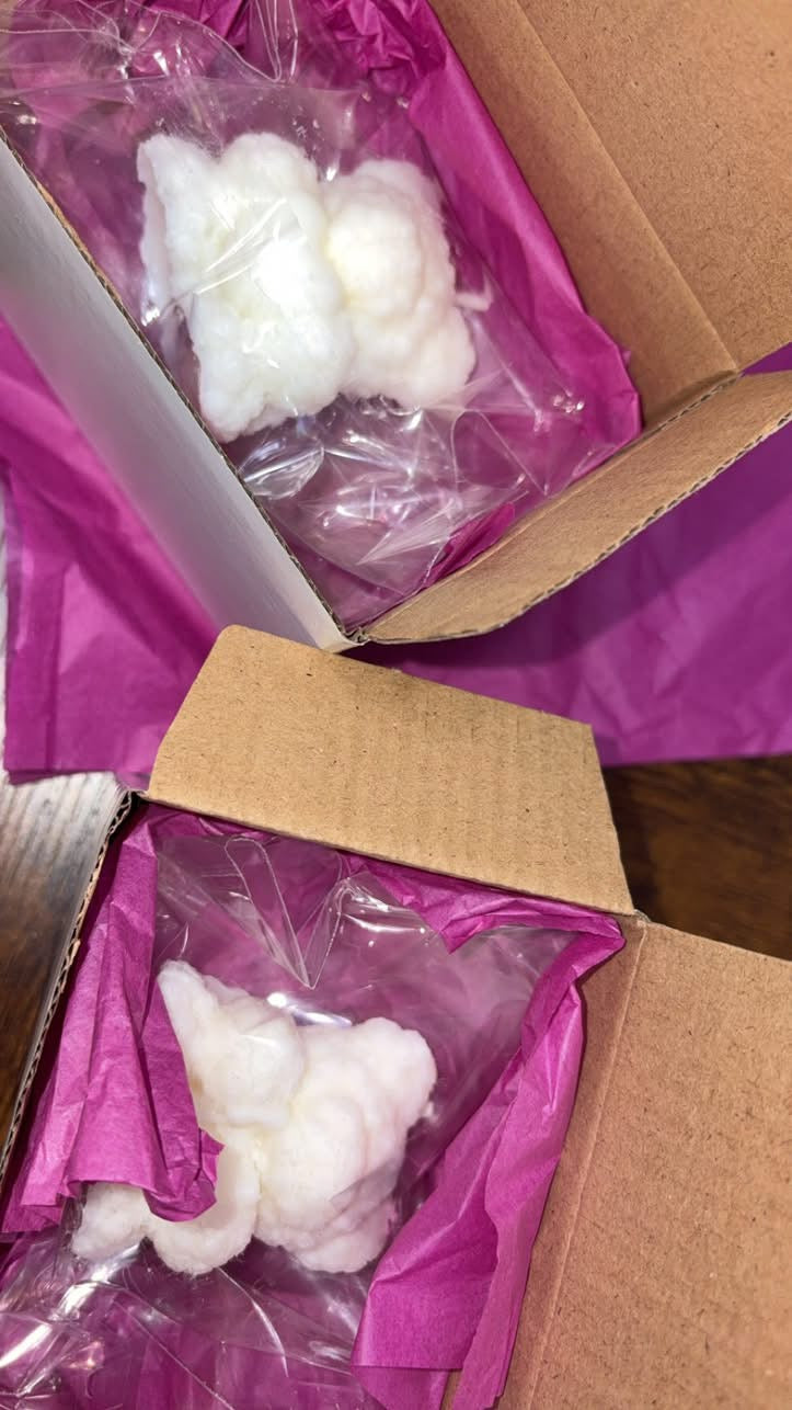 Custom Bear Candles